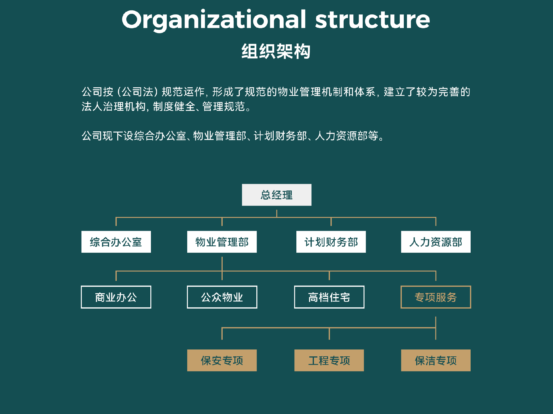 组织.png